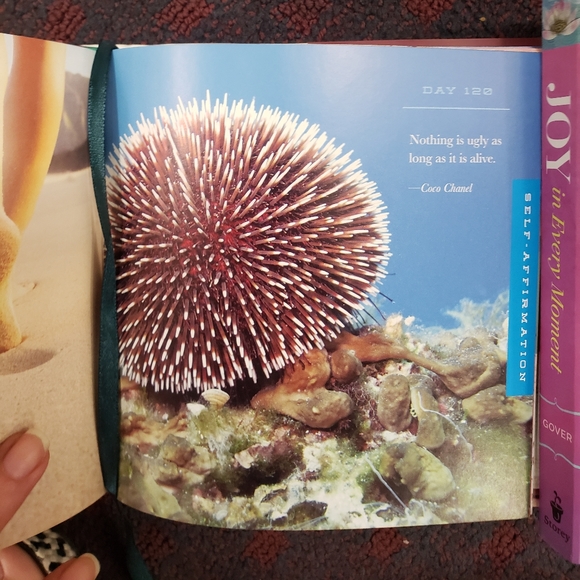 🏞Meet Posher & Fellow Bargain-Hunter, BD🚵♀️ - Picture 7 of 10